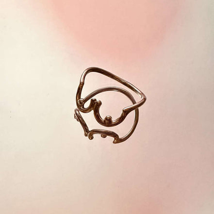 Ring Sea-Sea