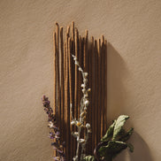 Dried plants against a textured beige wall