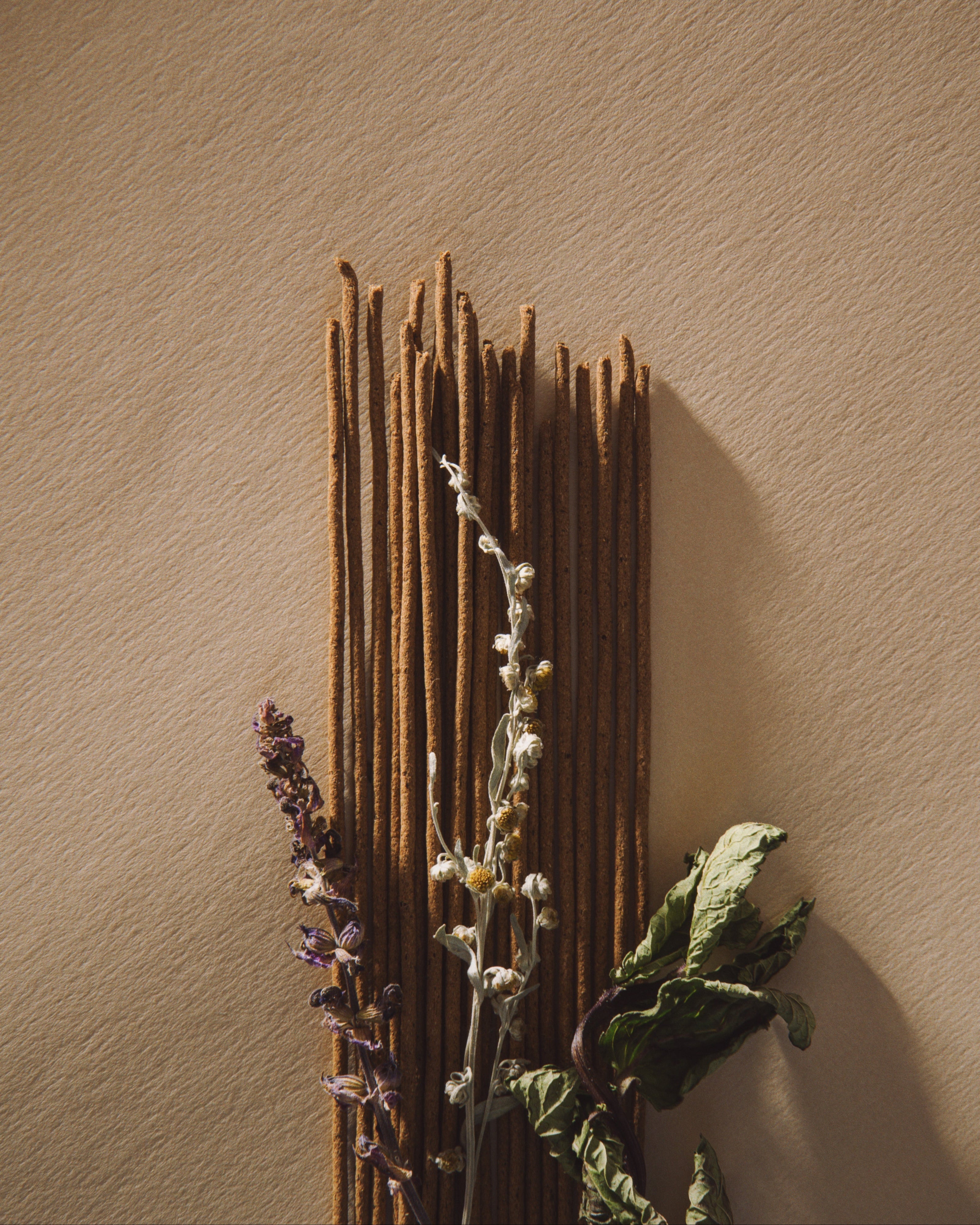 Dried plants against a textured beige wall