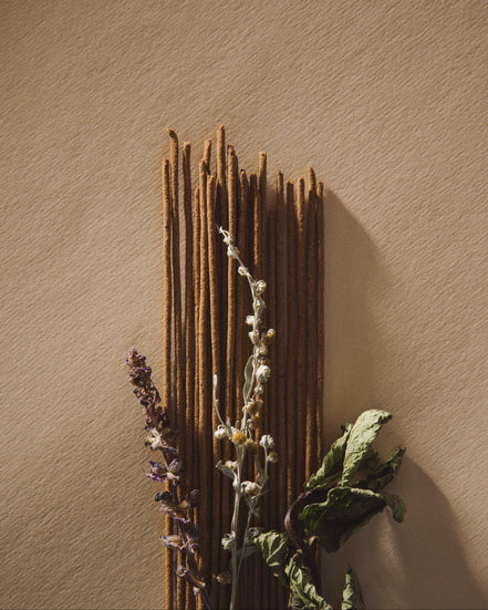 Dried plants against a textured beige wall