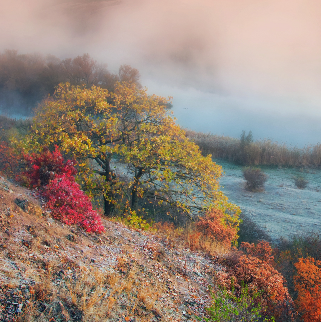 AUTUMN COLORS