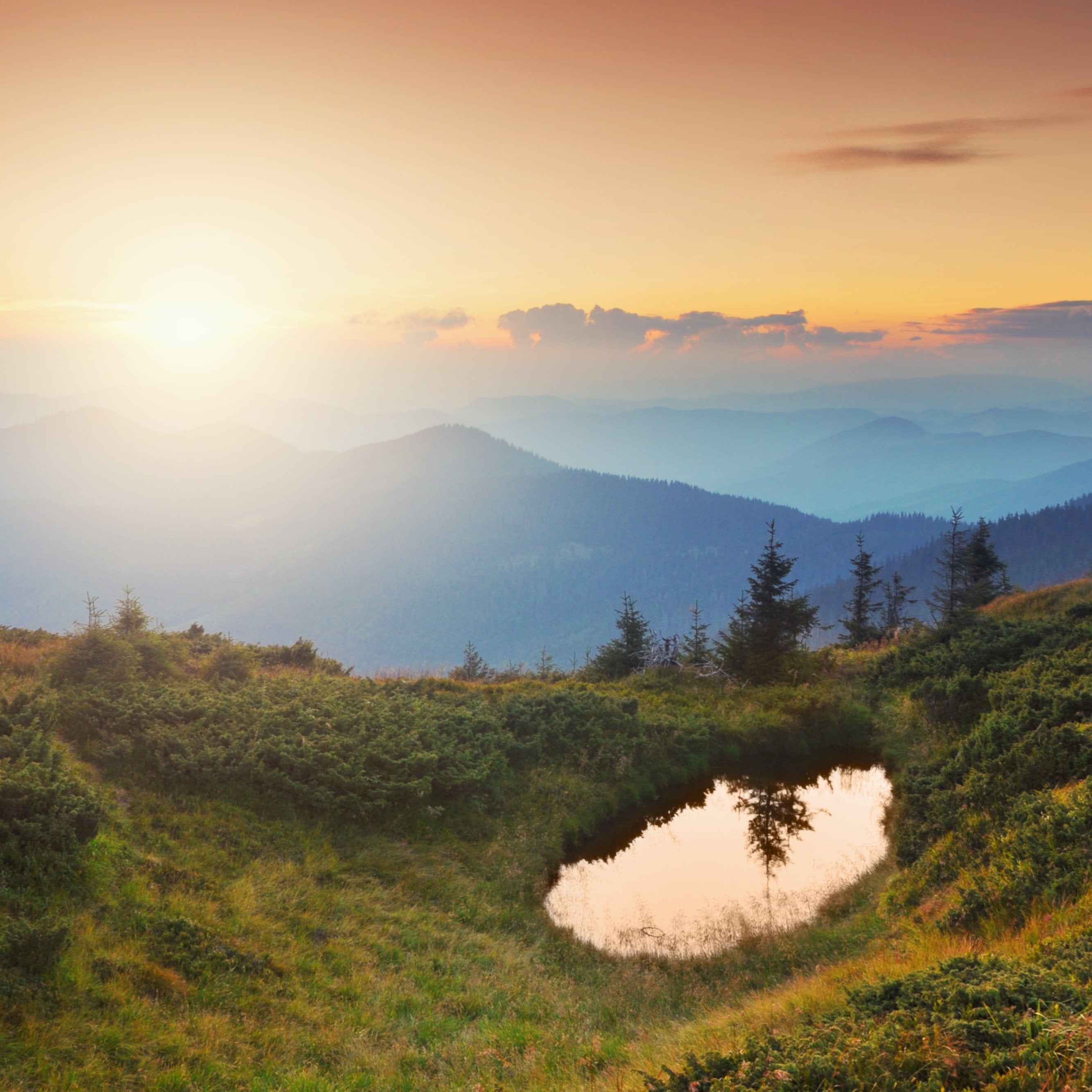 MIRROR OF DAWN