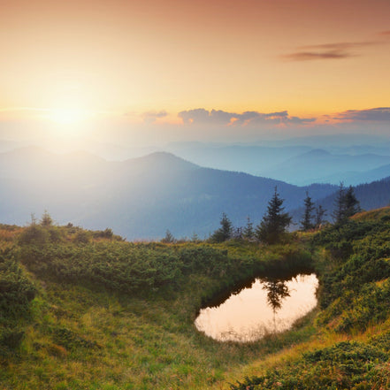 MIRROR OF DAWN
