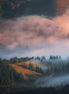 MORNING IN THE MOUNTAINS