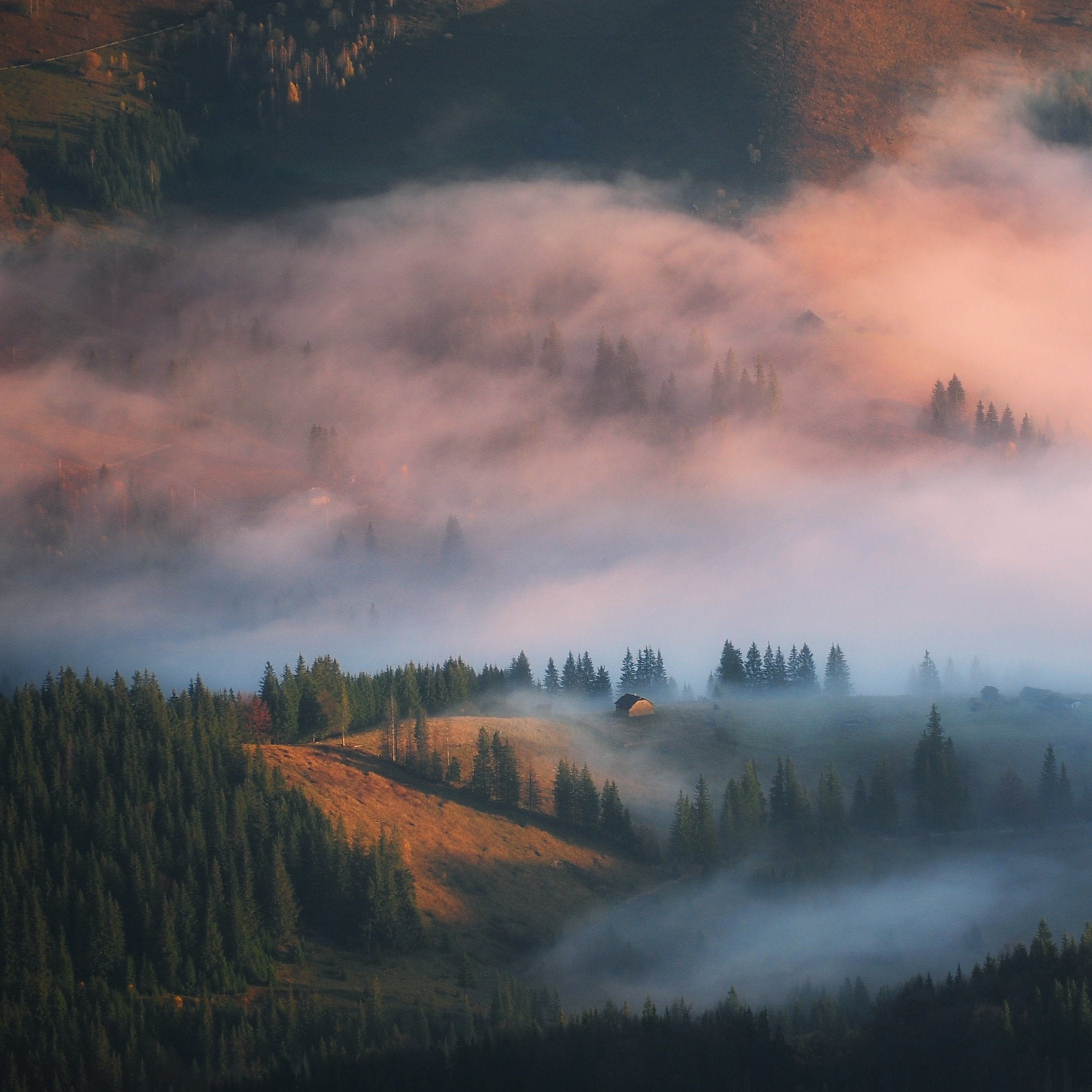 MORNING IN THE MOUNTAINS