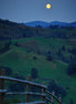 SILENCE IN THE MOUNTAINS