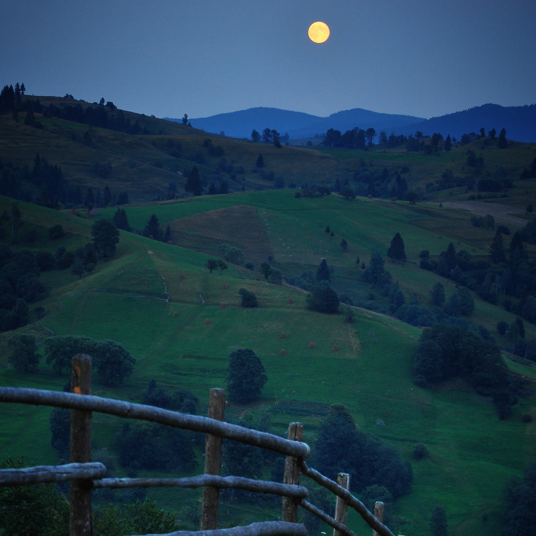 SILENCE IN THE MOUNTAINS