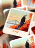 Saint Volodymyr Monument Sticker