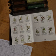 The Ukrainian Scent Atlas
