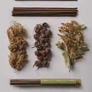 Incense sticks with dried herbs and flowers on a light gray background