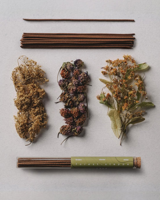 Incense sticks with dried herbs and flowers on a light gray background