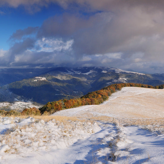 THE FIRST SNOW ON THE AUTUMN PEAKS